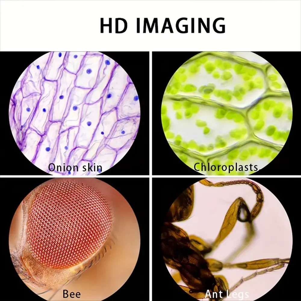 Handheld Pocket Microscope 60X - Kids Outdoor Microscope ulasan dan harga